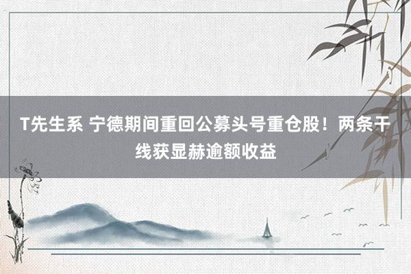 T先生系 宁德期间重回公募头号重仓股！两条干线获显赫逾额收益