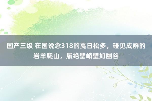 国产三级 在国说念318的戛日松多，碰见成群的岩羊爬山，履绝壁峭壁如幽谷