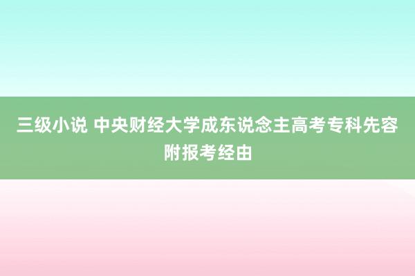 三级小说 中央财经大学成东说念主高考专科先容附报考经由