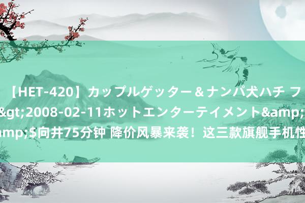 【HET-420】カップルゲッター＆ナンパ犬ハチ ファイト一発</a>2008-02-11ホットエンターテイメント&$向井75分钟 降价风暴来袭！这三款旗舰手机性价比爆棚，再不抢就亏大了