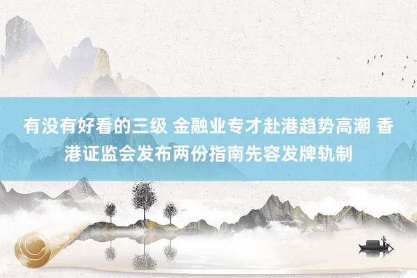 有没有好看的三级 金融业专才赴港趋势高潮 香港证监会发布两份指南先容发牌轨制