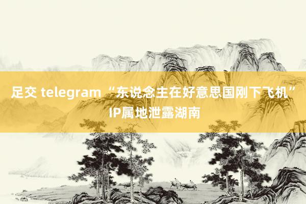 足交 telegram “东说念主在好意思国刚下飞机” IP属地泄露湖南