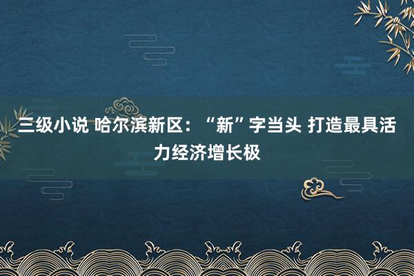 三级小说 哈尔滨新区：“新”字当头 打造最具活力经济增长极