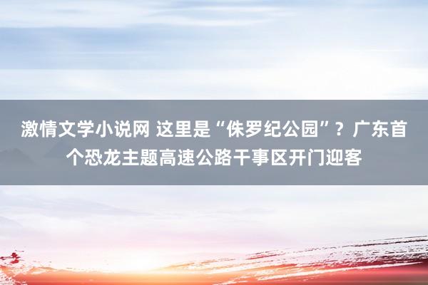 激情文学小说网 这里是“侏罗纪公园”？广东首个恐龙主题高速公路干事区开门迎客